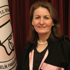 Prof. Dr. Ergül ASLAN